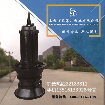 無阻塞潛水軸流泵-上泵