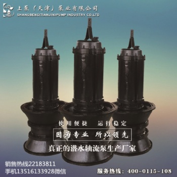斜拉式潛水軸流泵-上泵