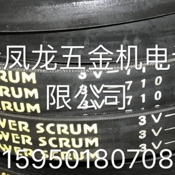JIS標(biāo)志品牌三角帶美國卡萊 Carlisle調(diào)速帶普通同步帶德國西格林多楔帶調(diào)速帶
