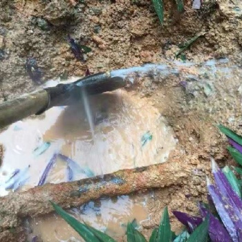 專業(yè)漏水檢測，消防管道自來水管道漏水檢測，家庭水管漏水檢測