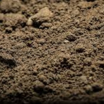 重慶花土廠家有機質含量高綠蘿栽培品質