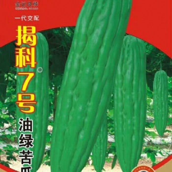 廣東金記揭科7號油綠苦瓜種子7-100