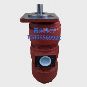 現(xiàn)貨供應(yīng)CBZ2063/2050浦沅16噸吊車(chē)雙聯(lián)泵