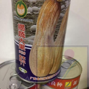 揭蔬大果雜交蜜本南瓜908