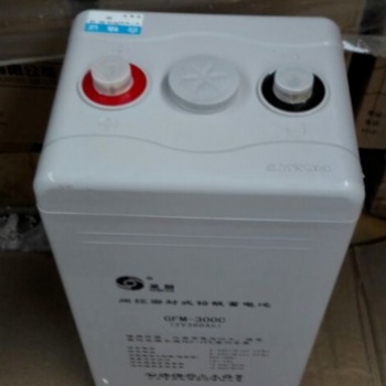 圣陽GFM-300C 圣陽蓄電池2V300AH 直流屏蓄電池 鉛酸免維護(hù)蓄電池