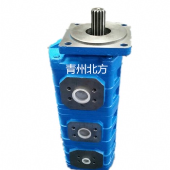 徐工25H吊車(chē)三聯(lián)泵1010000007吊車(chē)泵