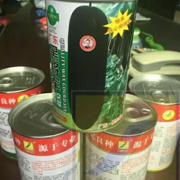 廣東金記黑將軍雜交黑皮冬瓜555種子
