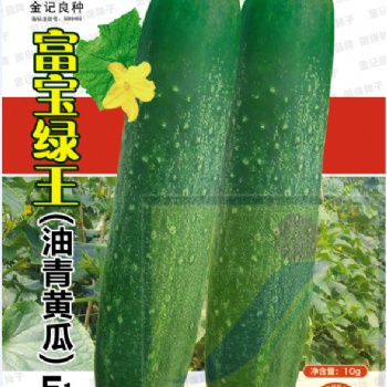 金記富寶綠王（油青黃瓜）F1 806