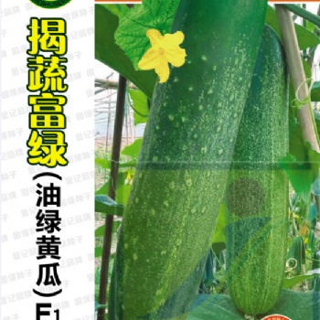揭蔬商標：揭蔬富綠（油綠黃瓜）F1 809