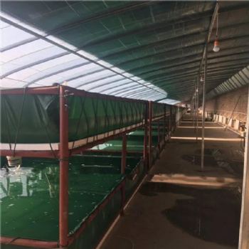 大棚室內帆布魚池水池 水產養殖魚池定做加工 養牛蛙篷布水池圖片