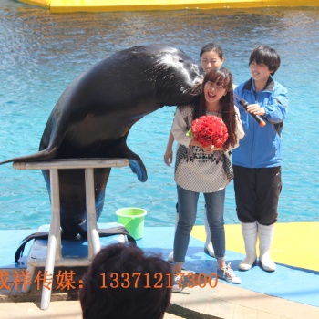 海洋生物公司展覽海洋公司展覽方案