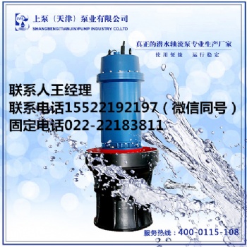 湖南長沙精鑄潛水軸流泵