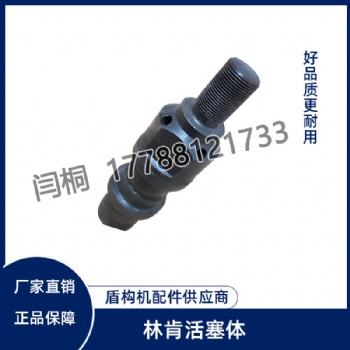 林肯活塞體（242691）價格實惠 歡迎詢價