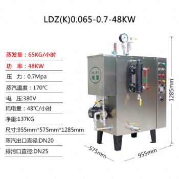 廣東食品加工干燥蒸汽機