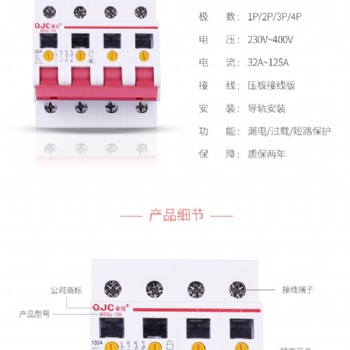 秦佳可視隔離斷路器BDGL-125