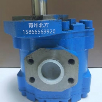 青州北方CBY3063-275L環衛設備泵