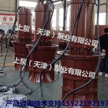 廣東深圳潛水軸流泵大流量軸流泵