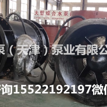 福建福州全貫流泵大流量貫流泵