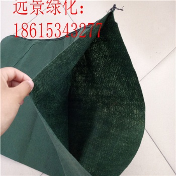 生態(tài)袋河道綠化 金華抗沖生物毯 南昌生態(tài)袋綠化 植物纖維毯復(fù)綠
