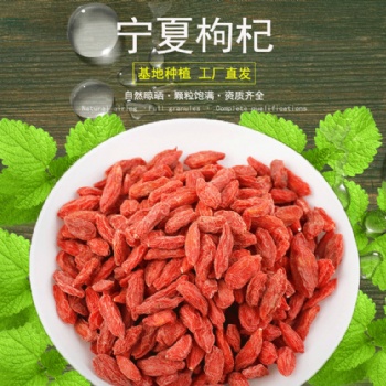 寧夏中寧枸杞子**250g 紅枸杞即食散裝批發一件代發