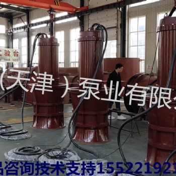 大型潛水軸流泵排水工程軸流泵