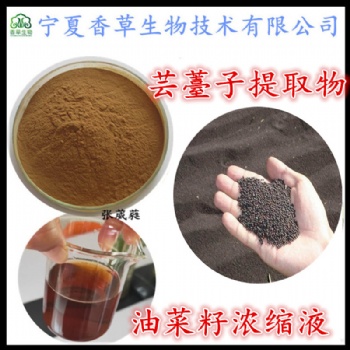 蕓薹子** 蕓薹子速溶粉 寧夏 油菜籽粉 花菜子/青菜籽/菠菜籽**