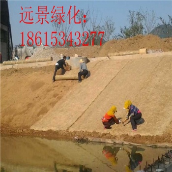 防洪生態袋 生態袋河道綠化 植生毯質量** 江西植生毯 植物纖維毯護坡