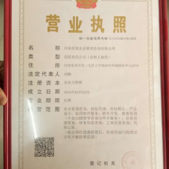 河南唐鼎企業(yè)管理咨詢有限公司