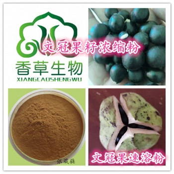 文冠果濃縮液文冠籽** 文冠果** 文冠果濃縮汁文冠果粉文冠果多糖 寧夏廠