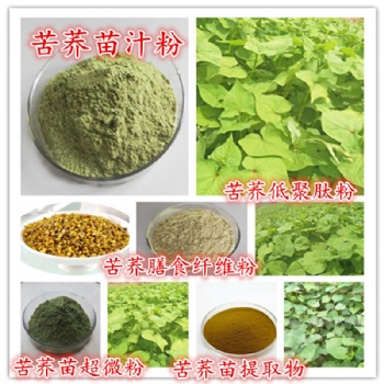 苦蕎苗**苦蕎苗速溶粉 苦蕎苗浸膏 苦蕎苗超微粉300目