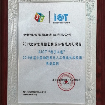 中智德智慧路燈2019年二典型應用案例企業