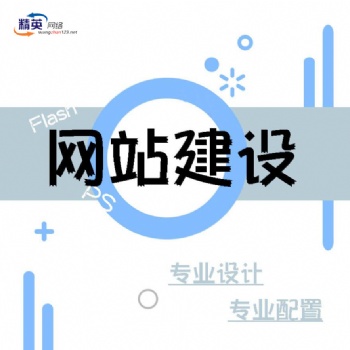 小程序開發(fā)生產(chǎn)廠家定做 網(wǎng)站建設(shè)促銷