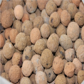 歡迎蒞臨:秦皇島衛(wèi)生間陶粒廠家—龍興陶粒-龍興陶粒廠