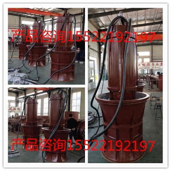 潛水軸流泵天津生產廠家