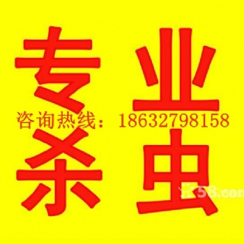 滄州有害生物防治公司安全高效滅鼠除蟑螂滅螞蟻和臭蟲