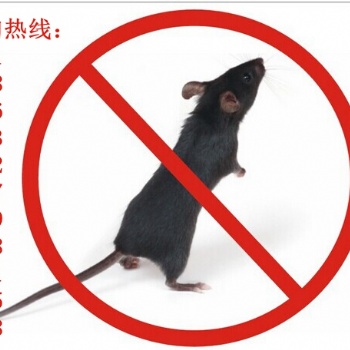 滄州專業滅鼠、滅蟑、滅蚊蟲，酒店、商業廣場、**、超市的除蟲