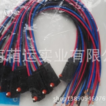 微動(dòng)開(kāi)關(guān)D2VW-5-1M