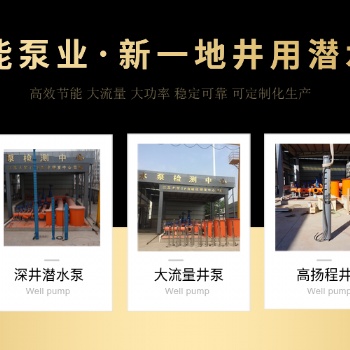 潛水井泵德能泵業(yè)天津有限公司