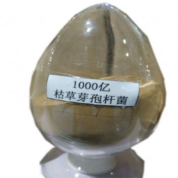 山東枯草芽孢桿菌廠家 枯草芽孢桿菌價(jià)格