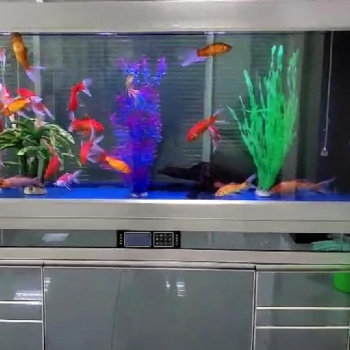 濟(jì)南高新區(qū)丁豪廣場(chǎng)魚(yú)缸清洗