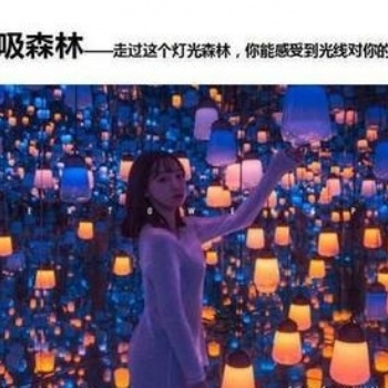 體驗光影的奧秘網紅夢幻呼吸森林出租租售