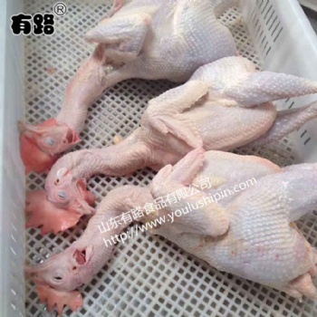 山東有路食品大量供應(yīng)蛋雞白條
