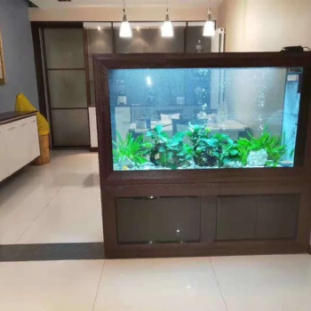 濟南高新區奧體中心魚缸造景
