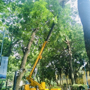 廣州市園林樹枝修剪云梯車出租高空車出租登高車出租價格優惠
