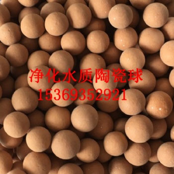 河北靈伍陶瓷球加工 過濾污水用麥飯石球 電氣石陶瓷球價格