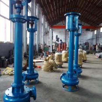 液下雜質泵-立式濃液泵-工廠物料泵廠家
