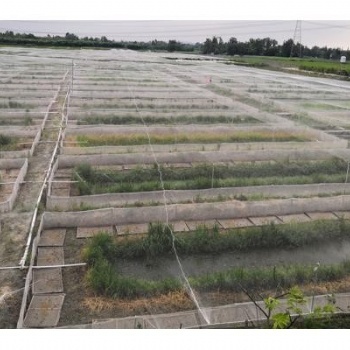 宜賓青蛙圍網加厚40目防逃網茂倫紗網總廠直發抗氧化圍網