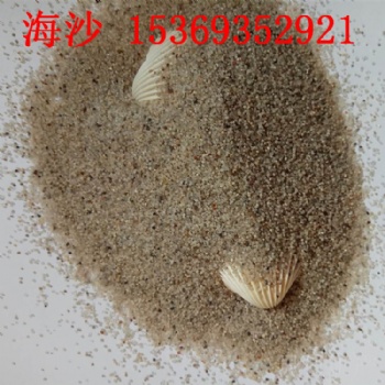 室內沙坑用白沙子 小區戶外沙池白沙子 雪花白沙價格