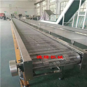 寧津德隆定做皮帶傳送帶304不銹鋼鏈網輸送機