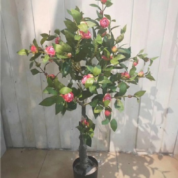 仿真茶花樹(shù)人造山茶花樹(shù)景區(qū)酒店商場(chǎng)裝飾假茶花樹(shù)茶花枝批發(fā)